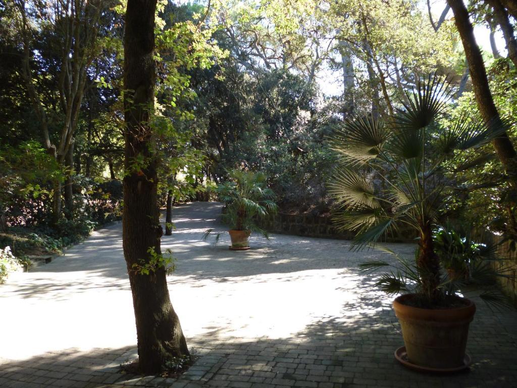 Resort Baia Etrusca 2*