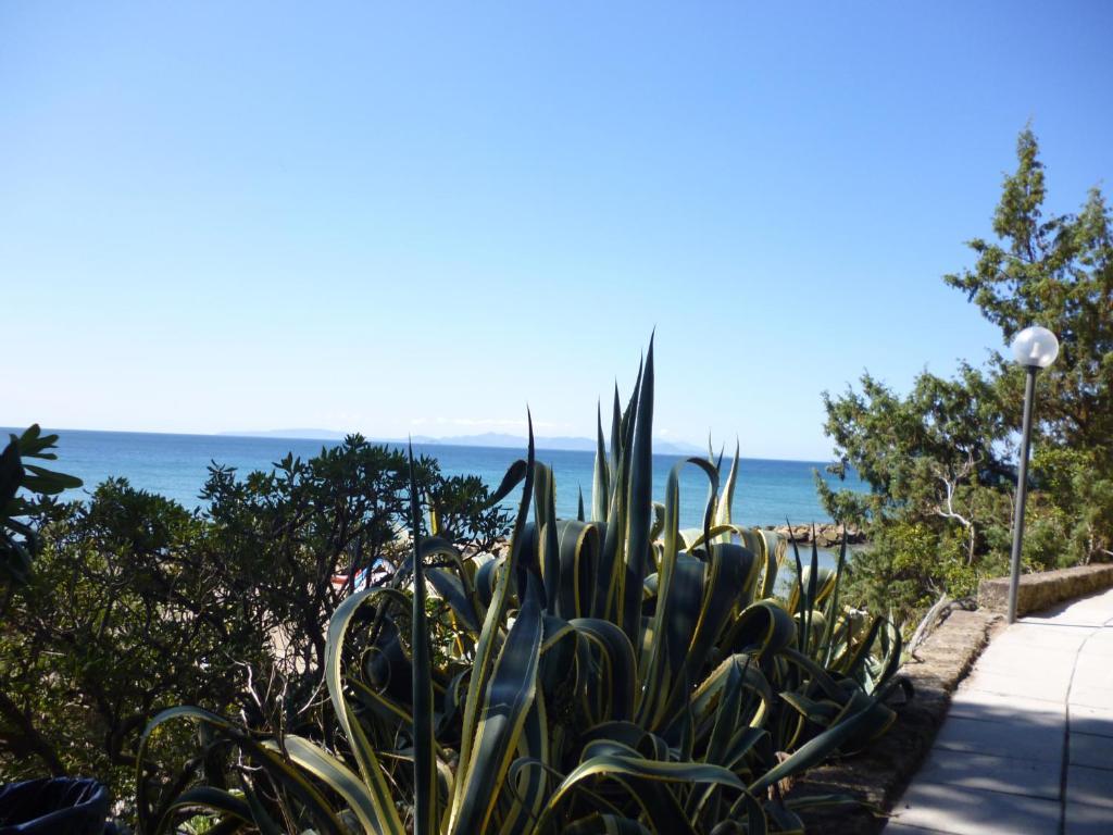 Station touristique Baia Etrusca 2*